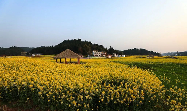【与春天撞个满怀 打卡最美春景】遂宁:船山永和家园花正浓 品诗意乡村正当时_fororder_微信图片_20220322133338