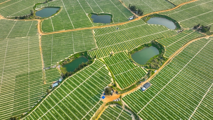 និទាឃរដូវមានទេសភាពស្រស់ស្អាត គួរប្រញាប់ប្រញាល់ភ្ជួររាស់ដីស្រែ_fororder_1