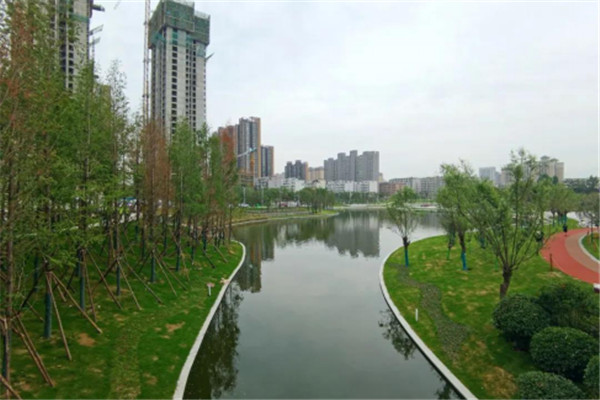 昔日臭水沟华丽变身 西安市长安中央公园北段正式对外开放