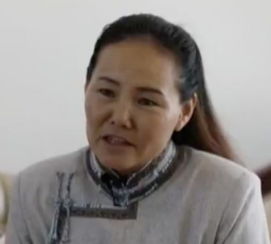 库布其治沙三十年：市场化打造绿色沙漠