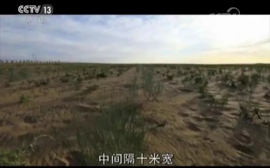 库布其治沙三十年：市场化打造绿色沙漠