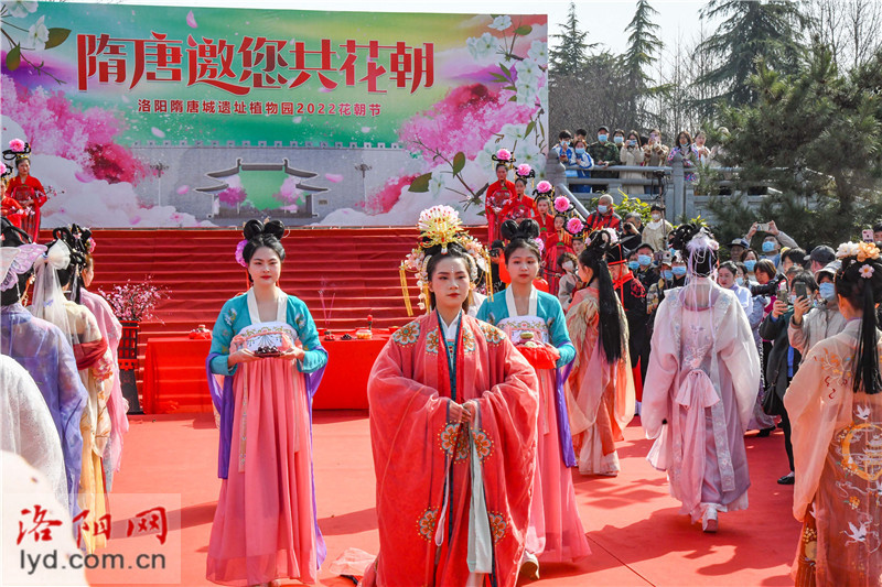Luoyang's Sui and Tang Dynasties City Ruins Botanical Garden Celebrates Huazhao Festival_fororder_图片8