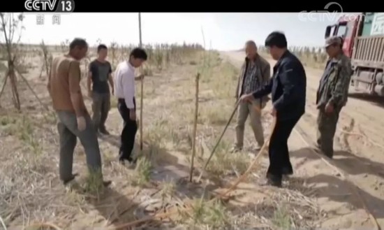 库布其治沙三十年：市场化打造绿色沙漠