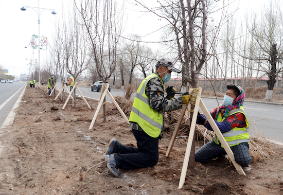 延吉市林业局启动城市绿化提升及街路改造项目 全速提升城市颜值_fororder_图片72