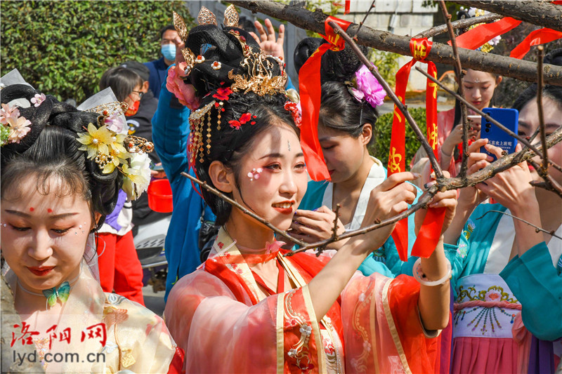 Luoyang's Sui and Tang Dynasties City Ruins Botanical Garden Celebrates Huazhao Festival_fororder_图片17