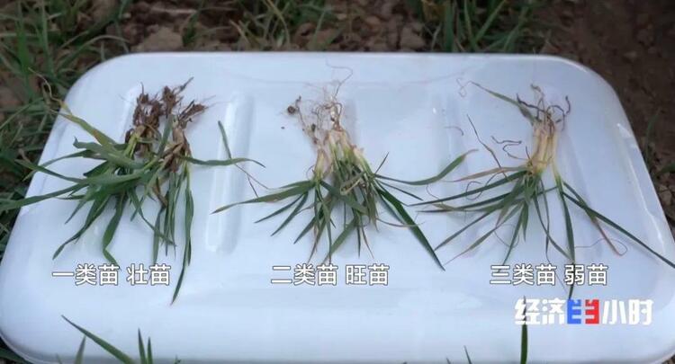 补贴超18亿元!国家出手→