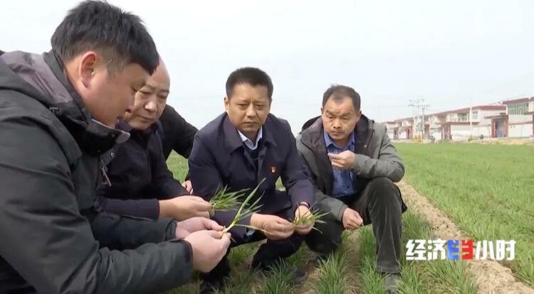 补贴超18亿元!国家出手→