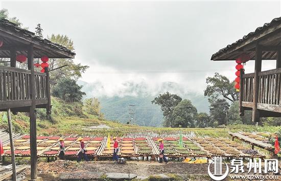 盛夏 到泉州这些古村落觅清凉