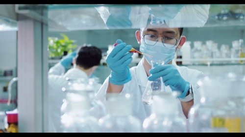 中国速度引领科技发展,见证中国品牌成长的力量