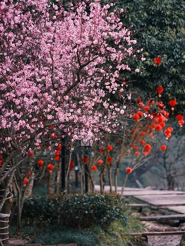 眉山洪雅:以花为媒 促进全域旅游发展_fororder_柳江古镇一景-供图-洪雅县委宣传部