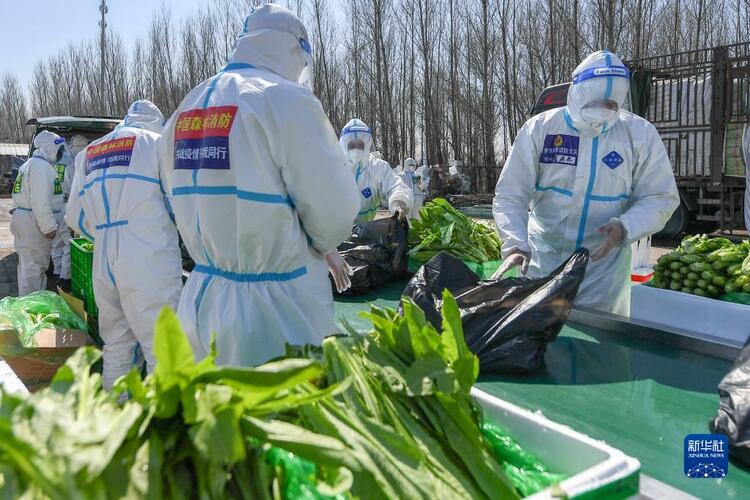 吉林:大力提升“蔬菜包”配送到户时效