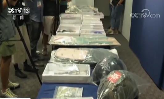 香港警方公布暴徒涉暴细节 汽油弹在警察面前爆开火势达一人高