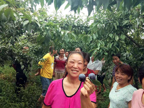 【河南供稿】河南内乡举办种植技术培训班 手把手教贫困户学习