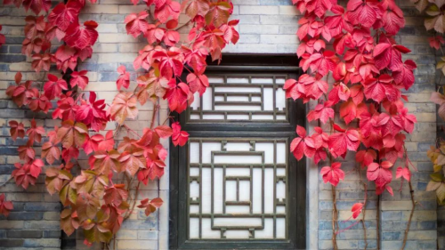 长城下的红叶小镇，北京最浪漫的秋天在这里