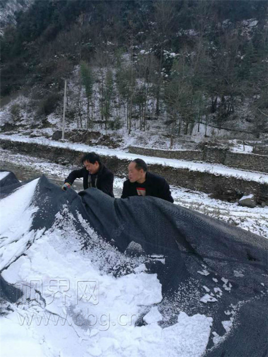 重庆频道 区县 正文 受此次降雪影响,重庆市城口县高楠镇丁安村,岭