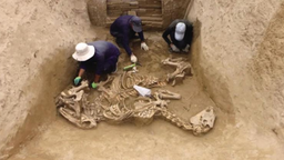 武威唐代吐谷浑王族墓葬群：多项新发现占据国内考古之最