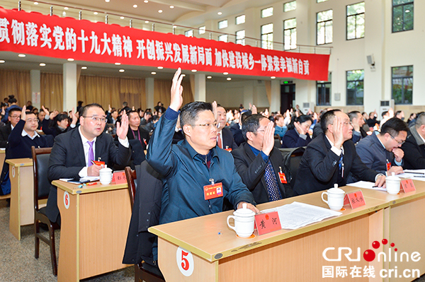 图片默认标题_fororder_举手表决通过报告决议（摄影-廖志全）