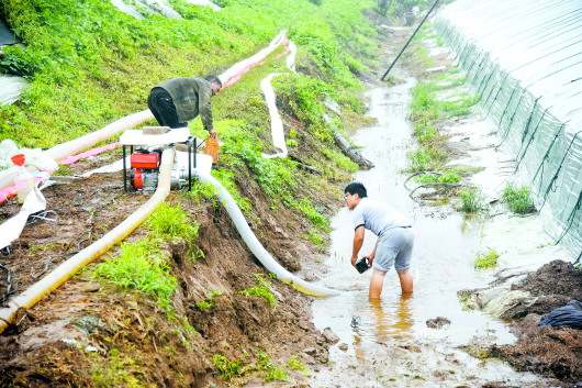 利奇马走了，寿光交出了怎样的答卷