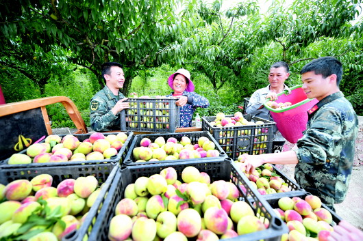 (中首)贵州兴义:结对帮扶结硕果