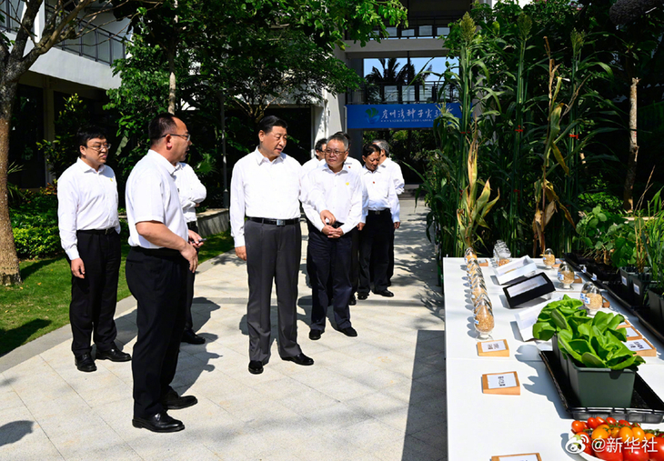 លោក Xi Jinping ៖ មានតែក្តាប់ជាប់គ្រាប់ពូជរបស់ខ្លួនក្នុងដៃខ្លួន ឯងទើបអាចធានាសន្តិសុខស្បៀងអាហាររបស់ប្រទេសចិន_fororder_1128549032_16496505022391n