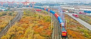 成都首发中越跨境直达班列 “铁铁联运”助力企业双向贸易