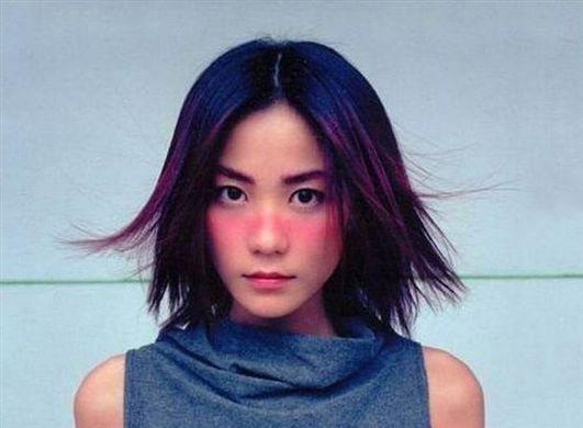 王菲上海演唱会八字有一撇 申请表曝光