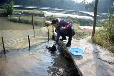 图片默认标题_fororder_5