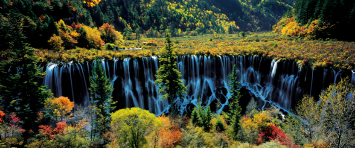 Jiuzhaigou National Park_fororder_37bfb0c2-9be9-4b15-8c5c-dfa0ccc91769