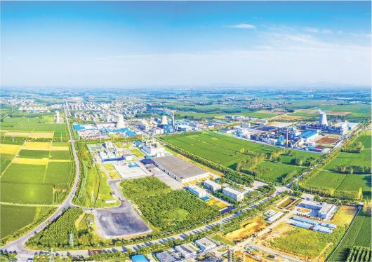 山东:高标定位 建链补链延链强链