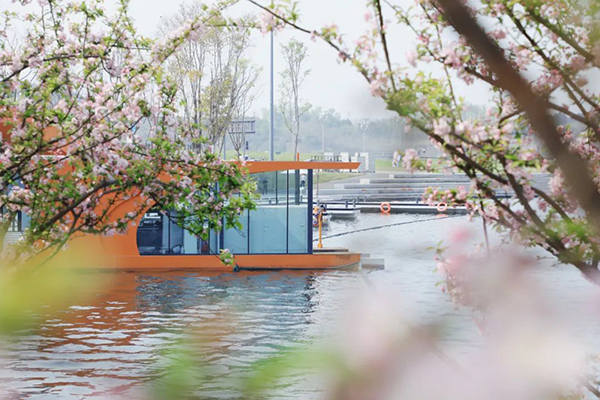 一人一舟 坚守在成都兴隆湖的“水生态维护者”们_fororder_↑-春意盎然的兴隆湖丨摄影：高晗瑞-