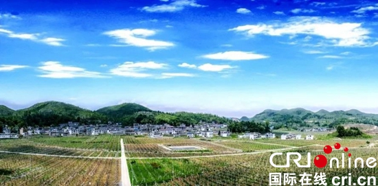贵州六盘水：凉水井坝区优化产业结构调整促增收