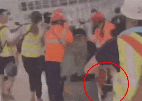 在中国香港拿着美国国旗追打同胞 岂有此理！