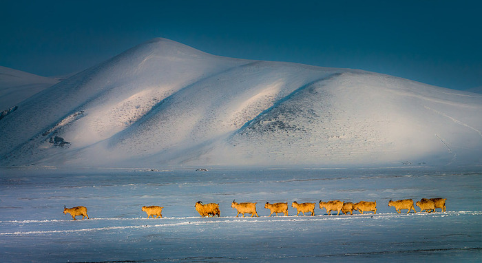 图片默认标题 图片默认标题_fororder_hu3