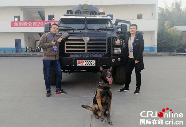 图片默认标题_fororder_现场市民拍照留念-（成都龙泉驿区委宣传部-供图）