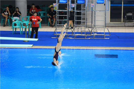 【湖北】【CRI原创】第七届世界军人运动会跳水测试赛顺利举行