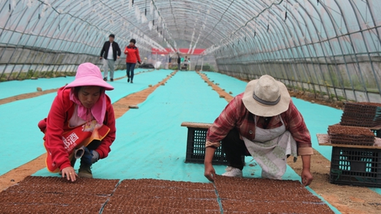 （供稿）贵州修文：5000亩水稻生产全程机械化示范区启建_fororder_微信图片_20220424155632
