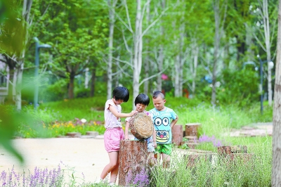 让森林“走”进城市 北京市民享受鸟语花香绿色画卷