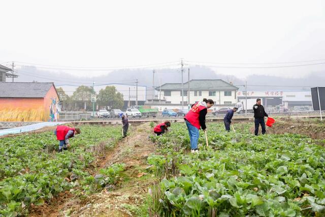 杭州桐庐莪山畲族乡:党建统领 奋力打造民族乡村“共富”标杆 杭州桐庐莪山畲族乡:党建统领 奋力打造民族乡村“共富”标杆_fororder_微信图片_20220425131732