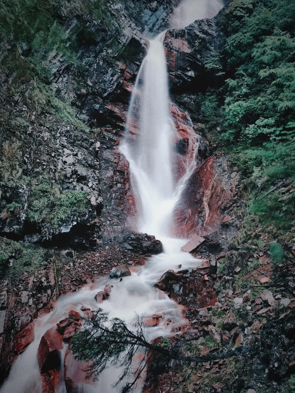 阿坝州四姑娘山一涧山水万亩密林享清凉盛夏