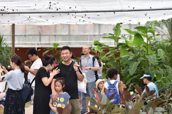“利奇马”挡不住的热情 第二届昆虫艺术科普展引爆北京