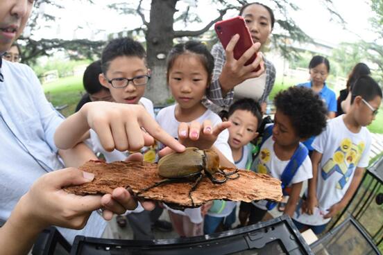 “利奇马”挡不住的热情 第二届昆虫艺术科普展引爆北京