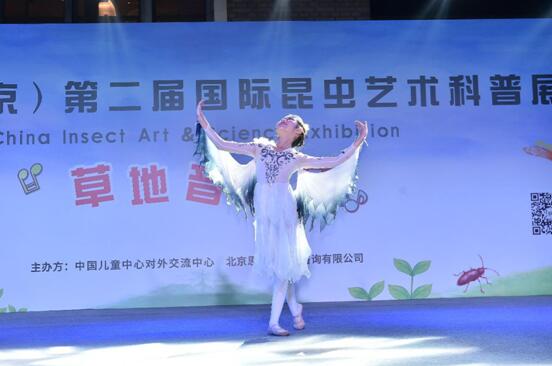 “利奇马”挡不住的热情 第二届昆虫艺术科普展引爆北京