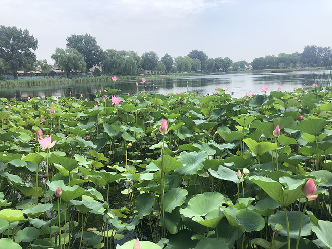 图片默认标题_fororder_%5c%5c172.100.100.3%5ctemp%5c9500031%5c1%5c9500031_1_1_6983cf0c-e574-4777-9333-e11032f3731b