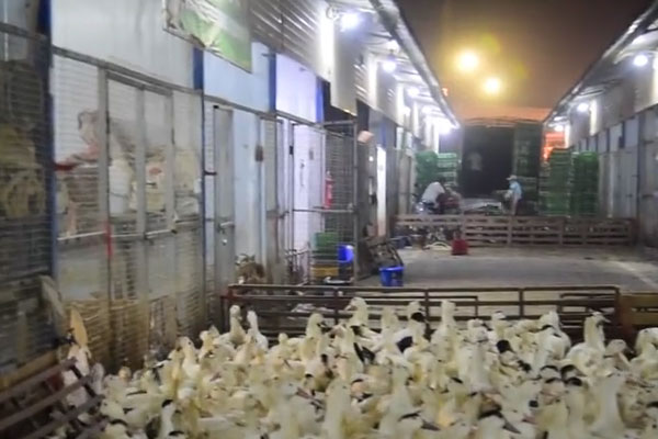 图片默认标题_fororder_20190815gxyz1