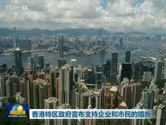 [视频]香港特区政府宣布支持企业和市民的措施_fororder_QQ图片20190815231308