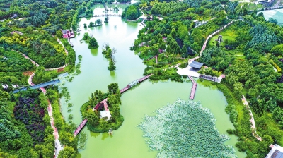 【中原名景-图片】【图说3】郑州雕塑公园：城市之肺