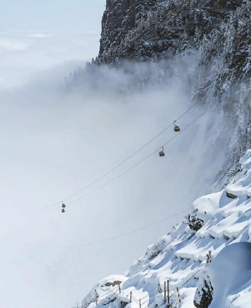 图片默认标题_fororder_5