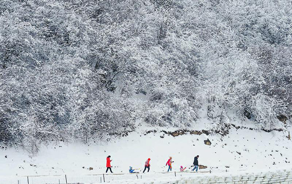 图片默认标题_fororder_4