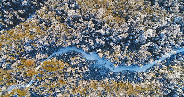 图片默认标题_fororder_7