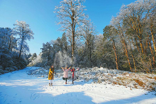 图片默认标题_fororder_8